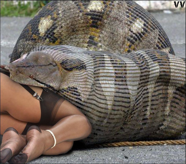 snake eats woman whole