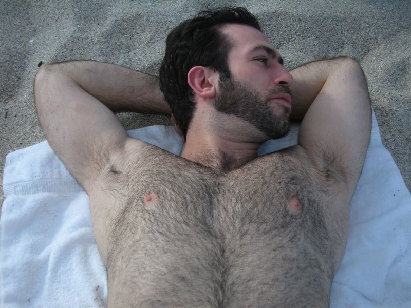 college gay hairy chest