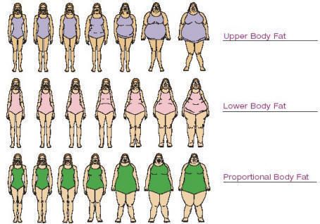 determine body type