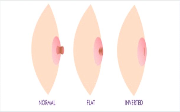 breast sizes picture f cups