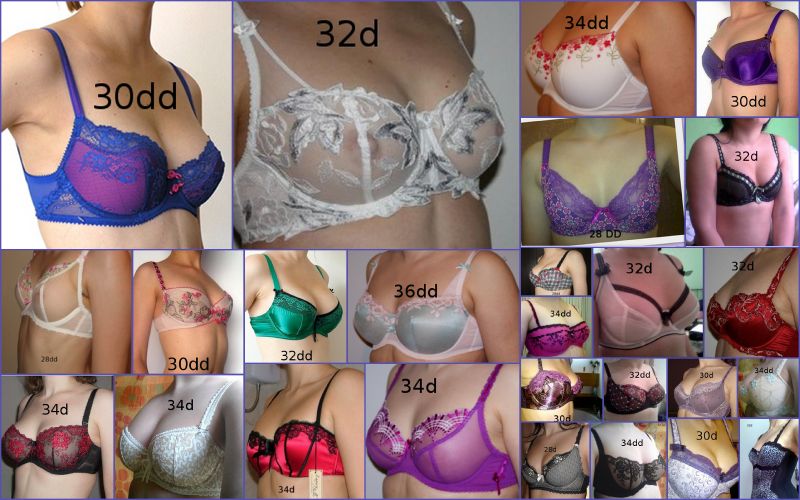 d cup breast size