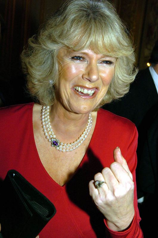 young camilla parker bowles pictures gallery
