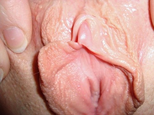 male erection close up
