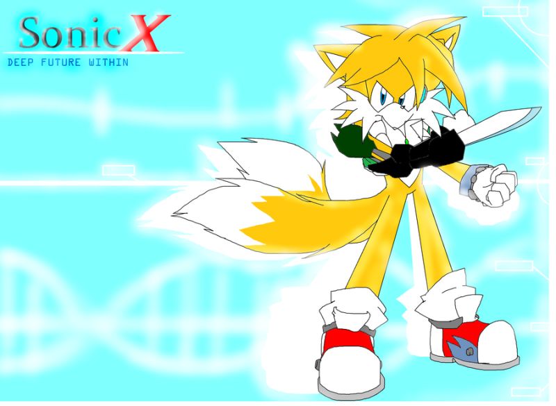 heads up tails sonic x