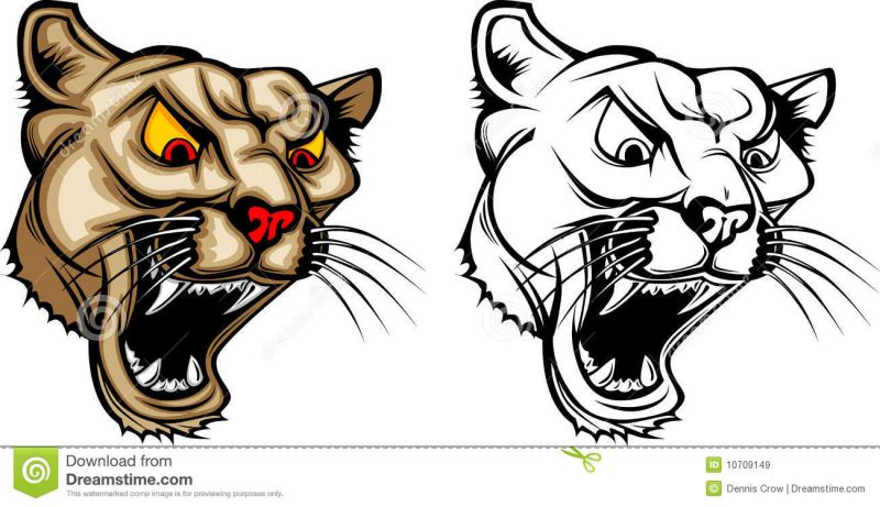 cougar mascot designs