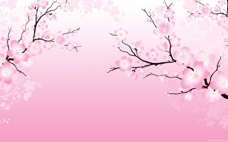 japanese cherry blossom cartoon