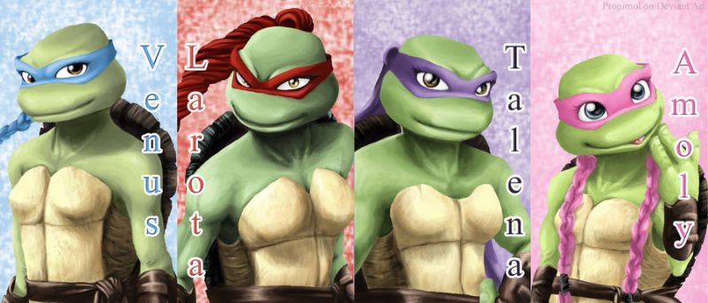 ninja turtles girl character