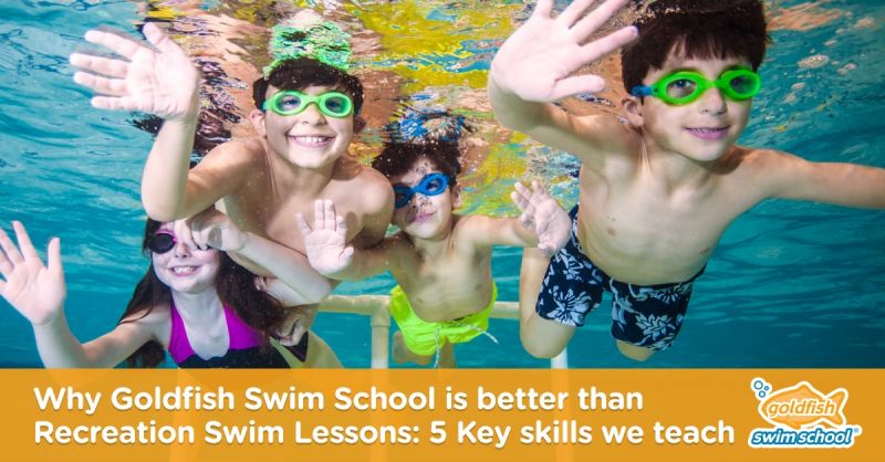 swimming lessons for adults
