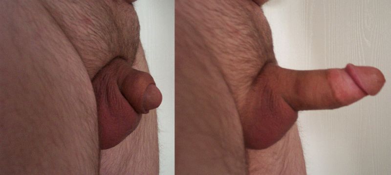 small dick in pussy