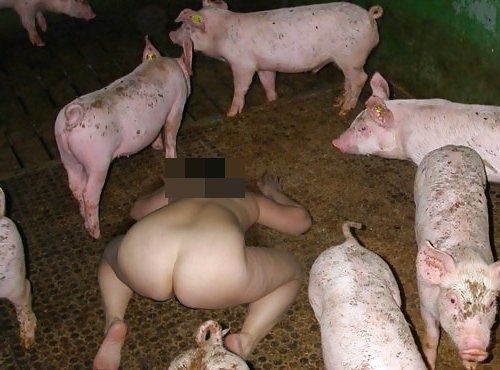 Tumblr Hucow Farm Breeding Slave Cumception