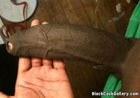 extremely thick black cock