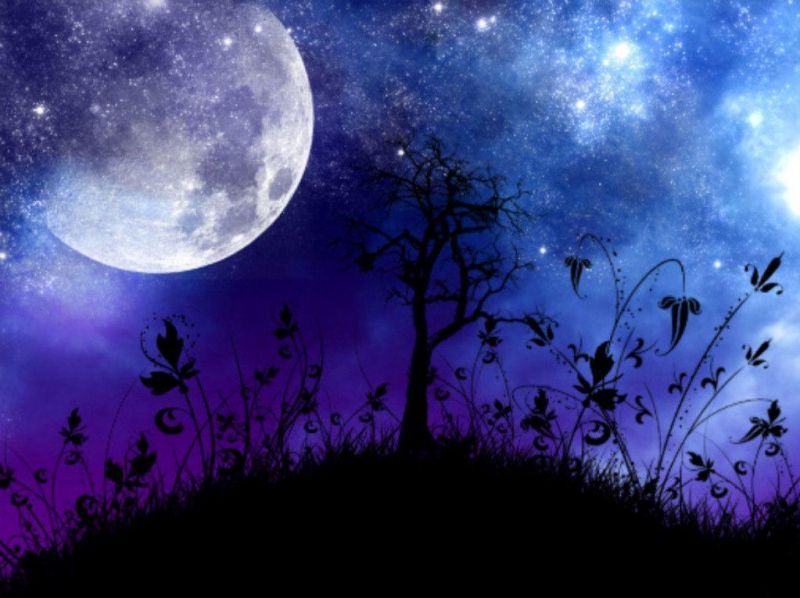 moon lit lunar chronicles