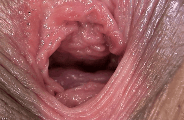 close up cock inside pussy gifs