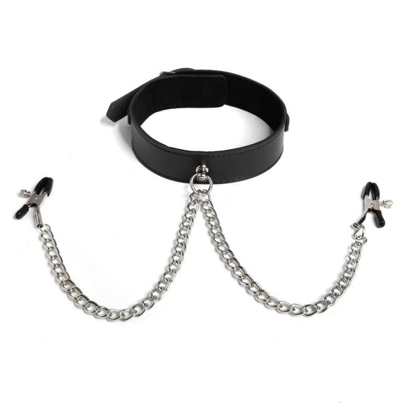 stainless steel collar and clamp