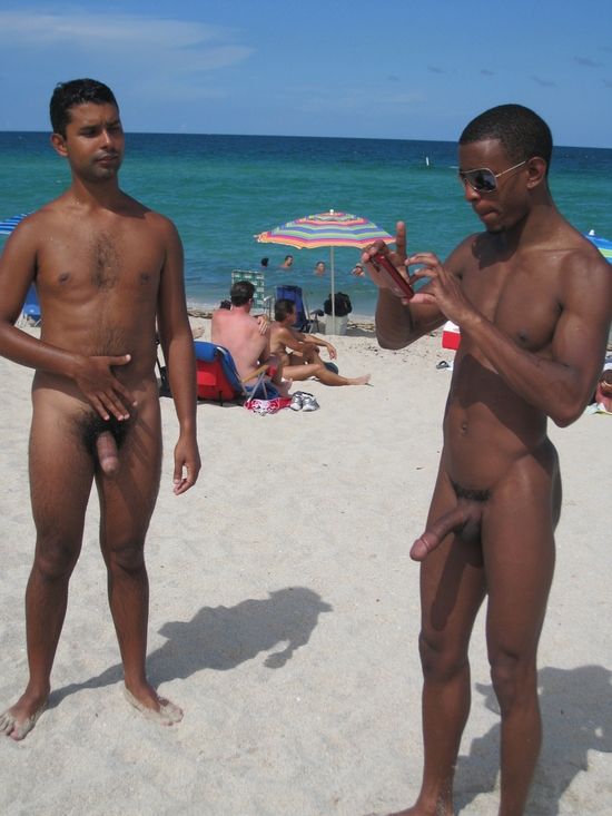 erect penis on nude beach gif