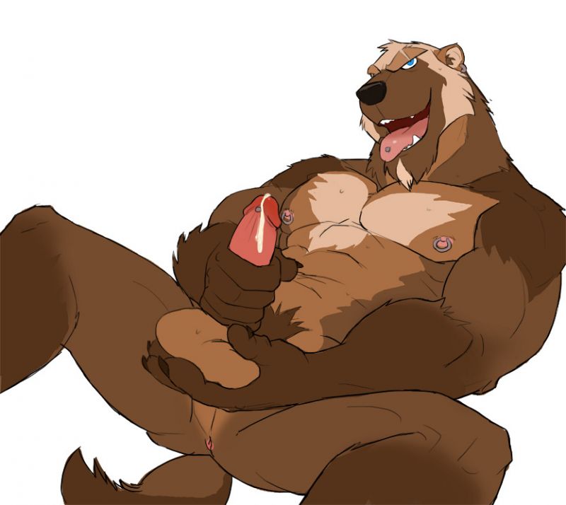 gay bear furry yiff art
