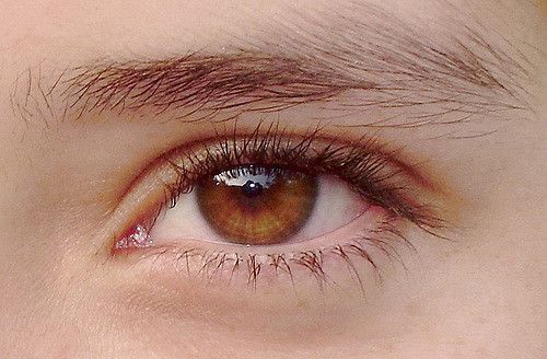 light brown eyes