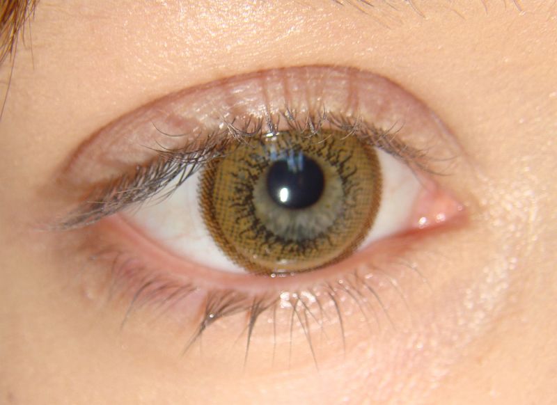 copper brown eyes