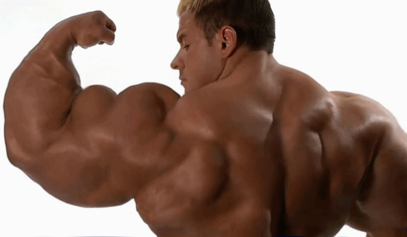 male muscle growth