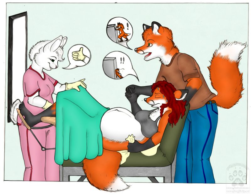 pregnant furry anthro breasts