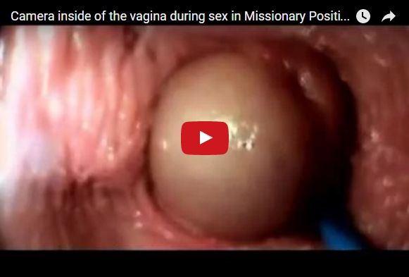 from inside the vagina sex gif