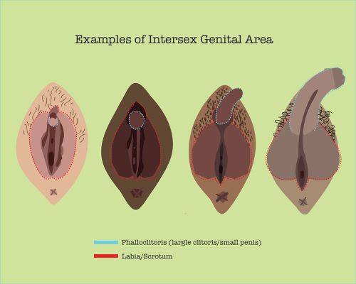 intersex vagina penetration