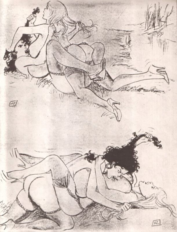 erotic women wrestling catfight drawings