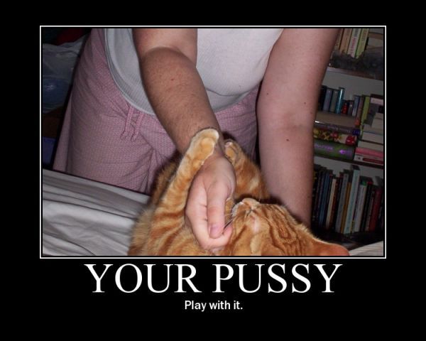 pussy motivational posters