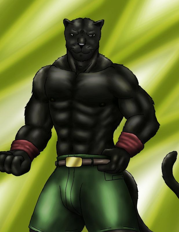 black panther vs lion
