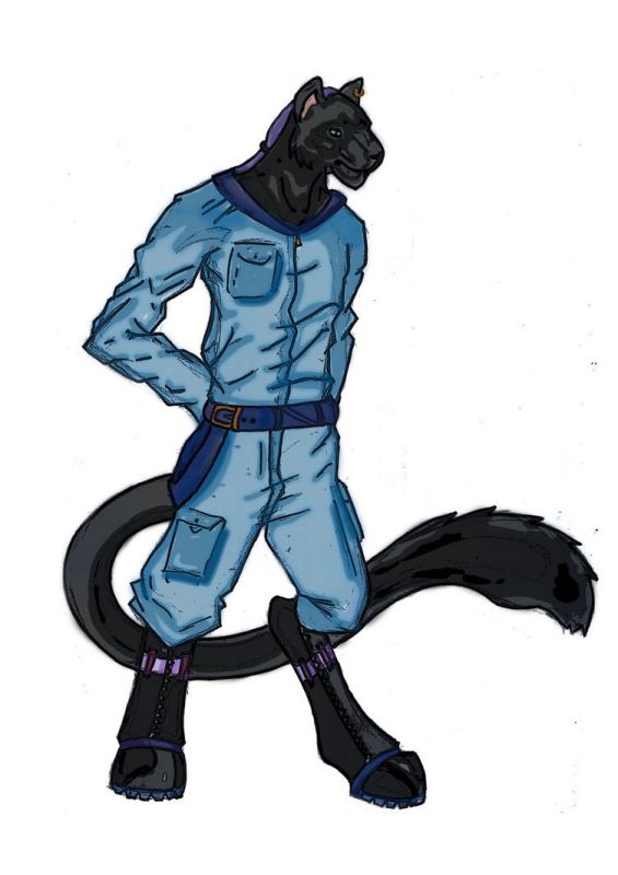 anthro male black panther