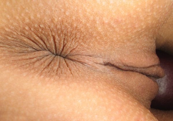 hairy female butthole close up