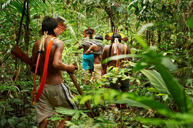 attenborough rainforest people tribes