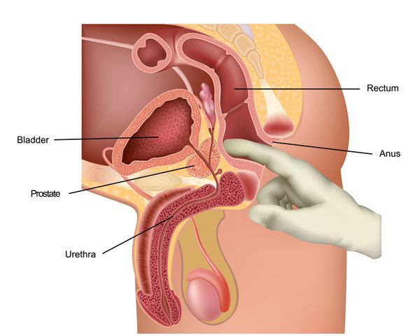 Fucking urethral Urethra Porn