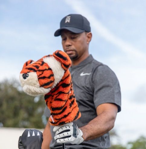 tiger stripes background