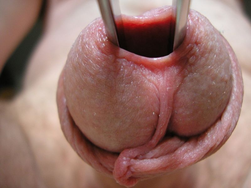 huge insertions in pussy
