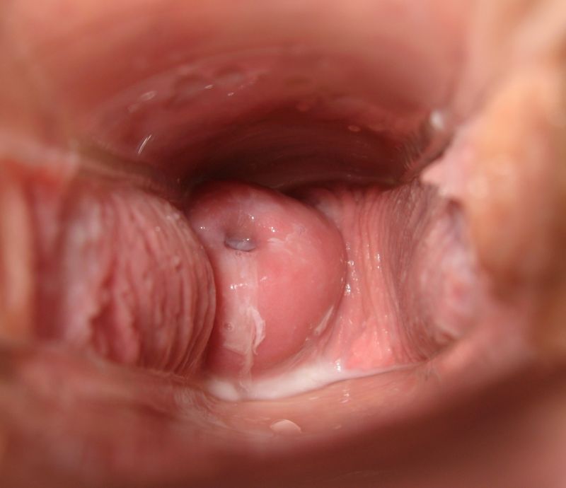 penis in vagina close up