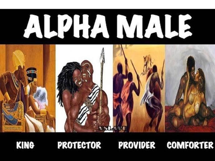 alpha male vs beta male