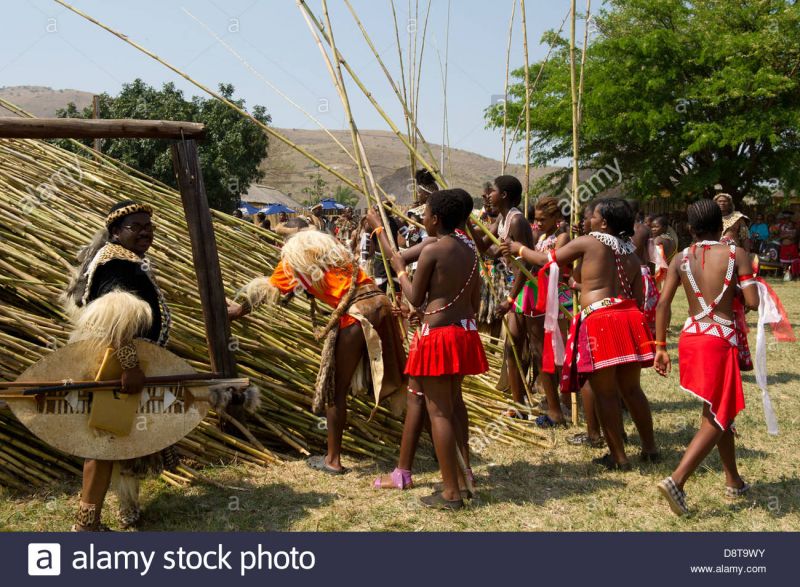 king mswati reed dance