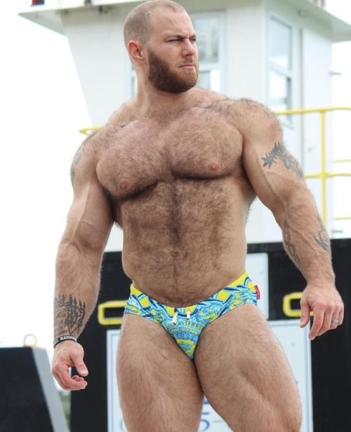 beefy muscle hunk