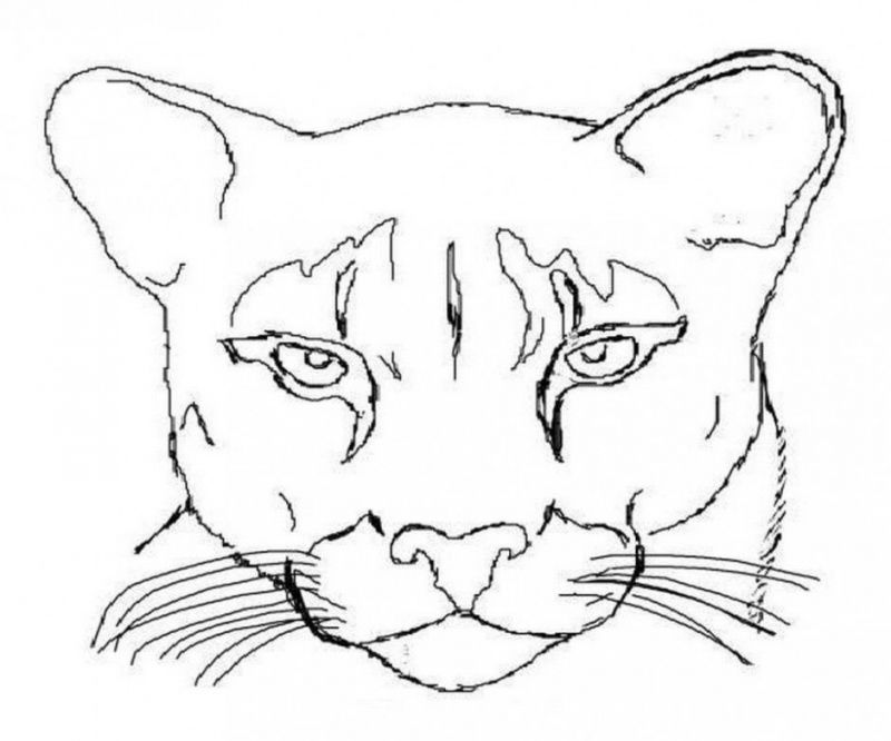 cougar paw print clip art