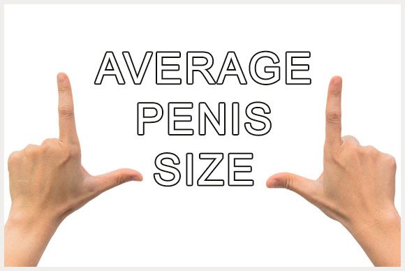 average penis size for women like