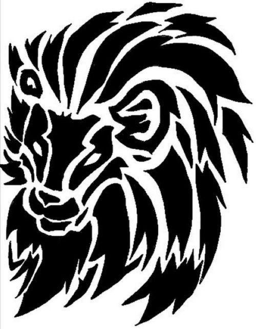 black and white lionhead