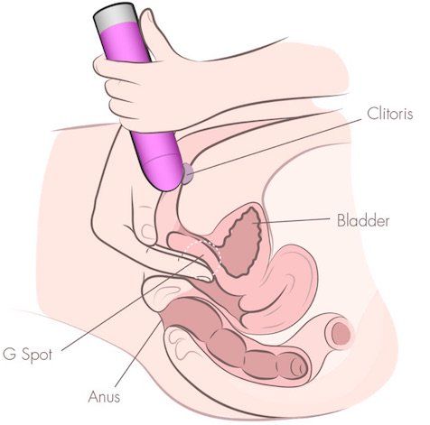 inside vagina during sex