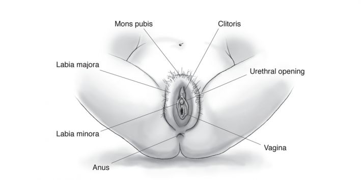 camera inside vagina during orgasm
