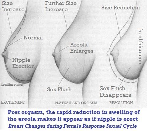 small bra showing nipples