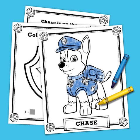 paw patrol chase and skye love story
