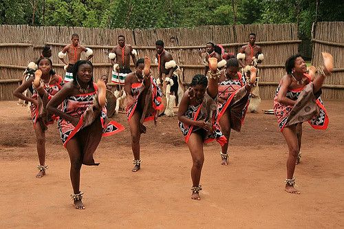 Swaziland Reed Dance No Underwear Cumception