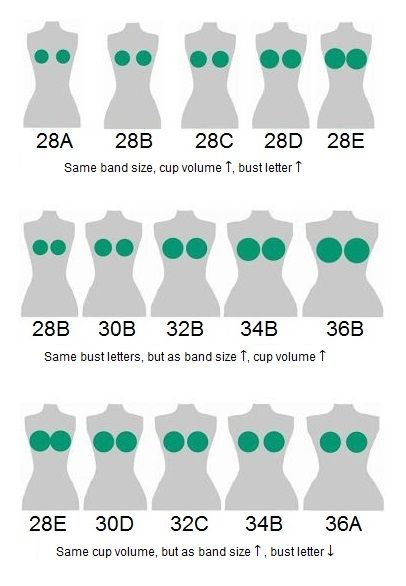breast size chart