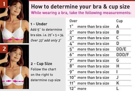 breast size pictures and guide