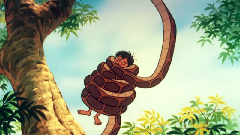mowgli vs python